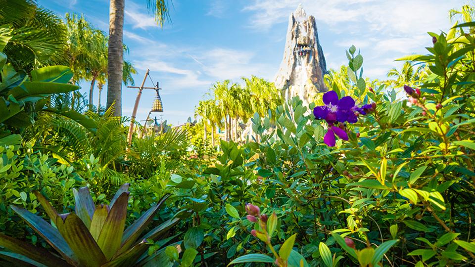 volcano bay