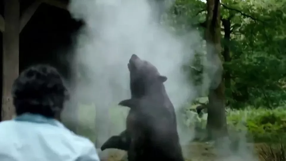 Cocaine_Bear