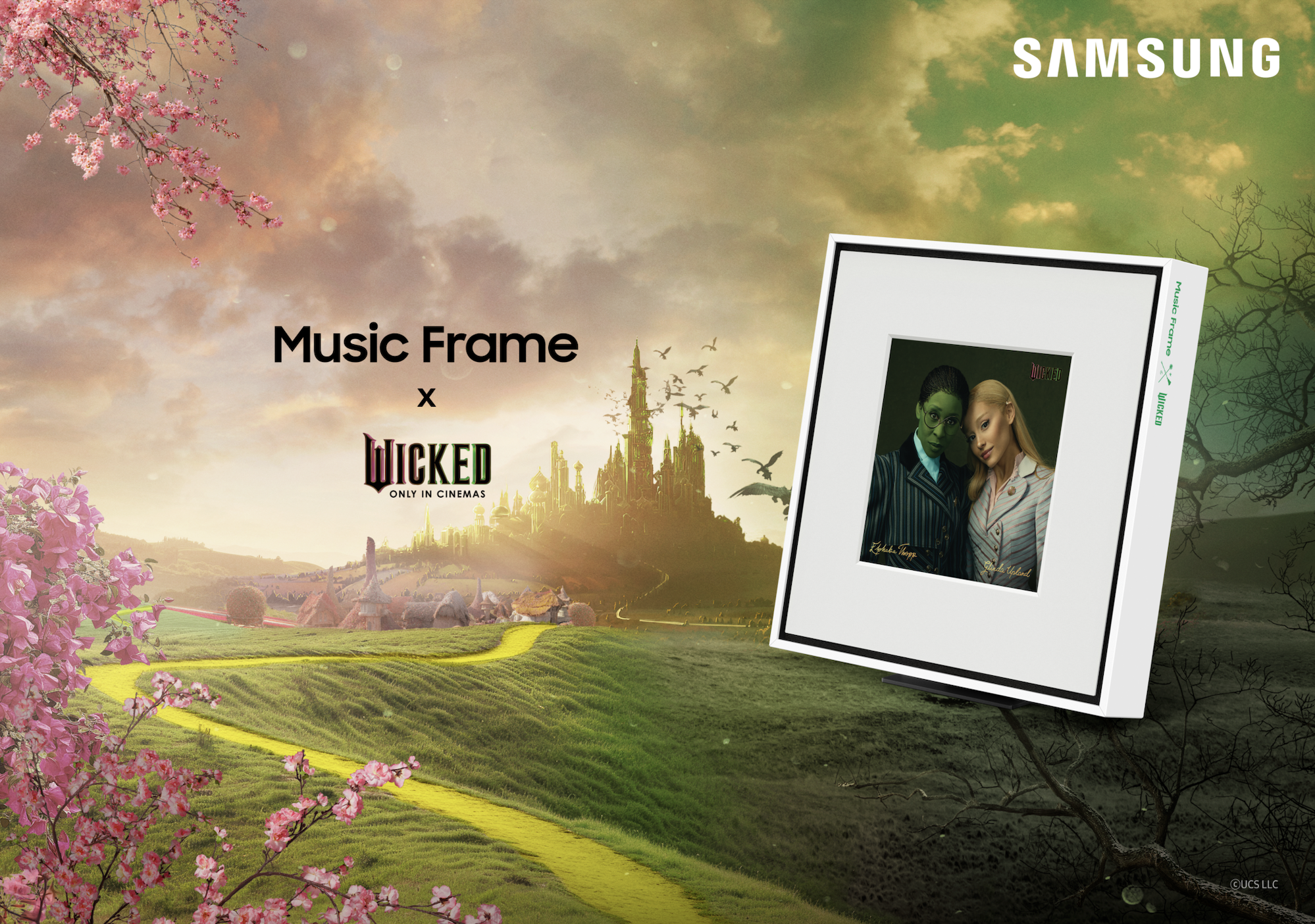 Samsung - Wicked Partnership